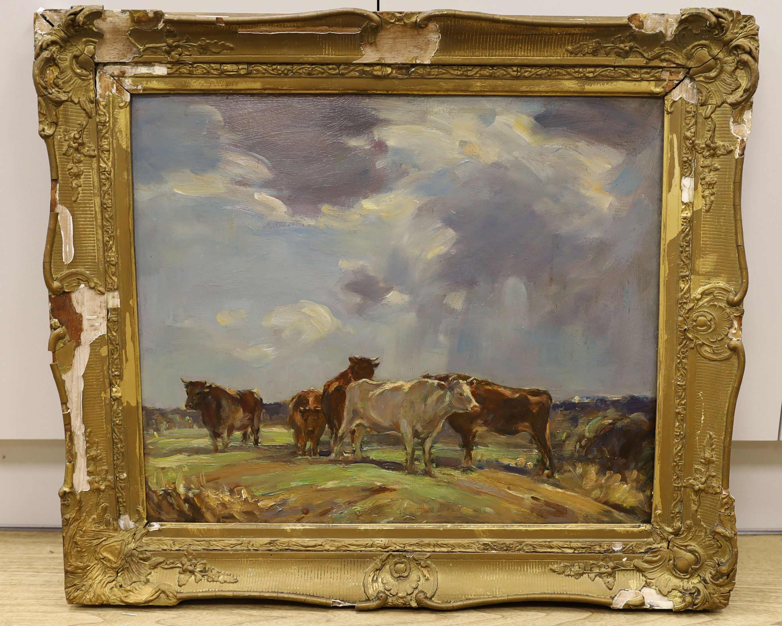20th century modern British, oil on board, Highland cattle, 59 x 49cm
